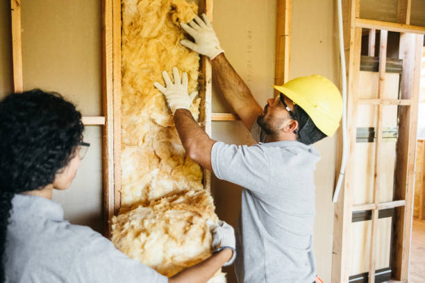Professional Insulation Contractor in Casper, WY